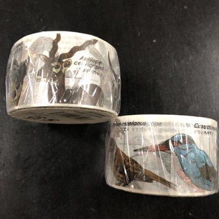 ⭐️マスキングテープ　鳥類と哺乳類　　2コセット⭐️(テープ/マスキングテープ)
