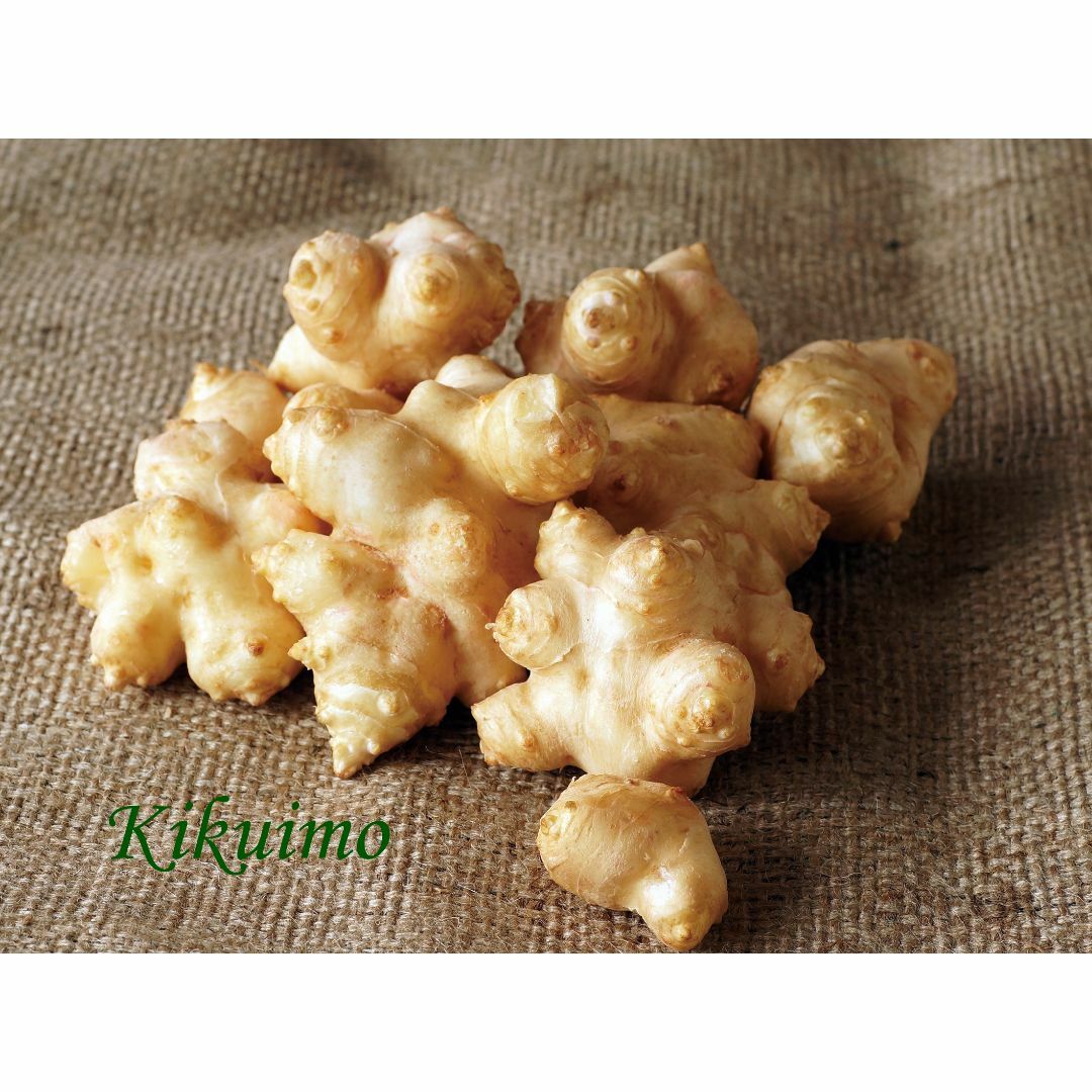 菊芋パウダー40ｇ 食品/飲料/酒の加工食品(乾物)の商品写真