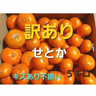 産地直送❕ 香川県産 訳ありせとか ５キロ(フルーツ)