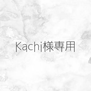 Kachi様専用(つけ爪/ネイルチップ)