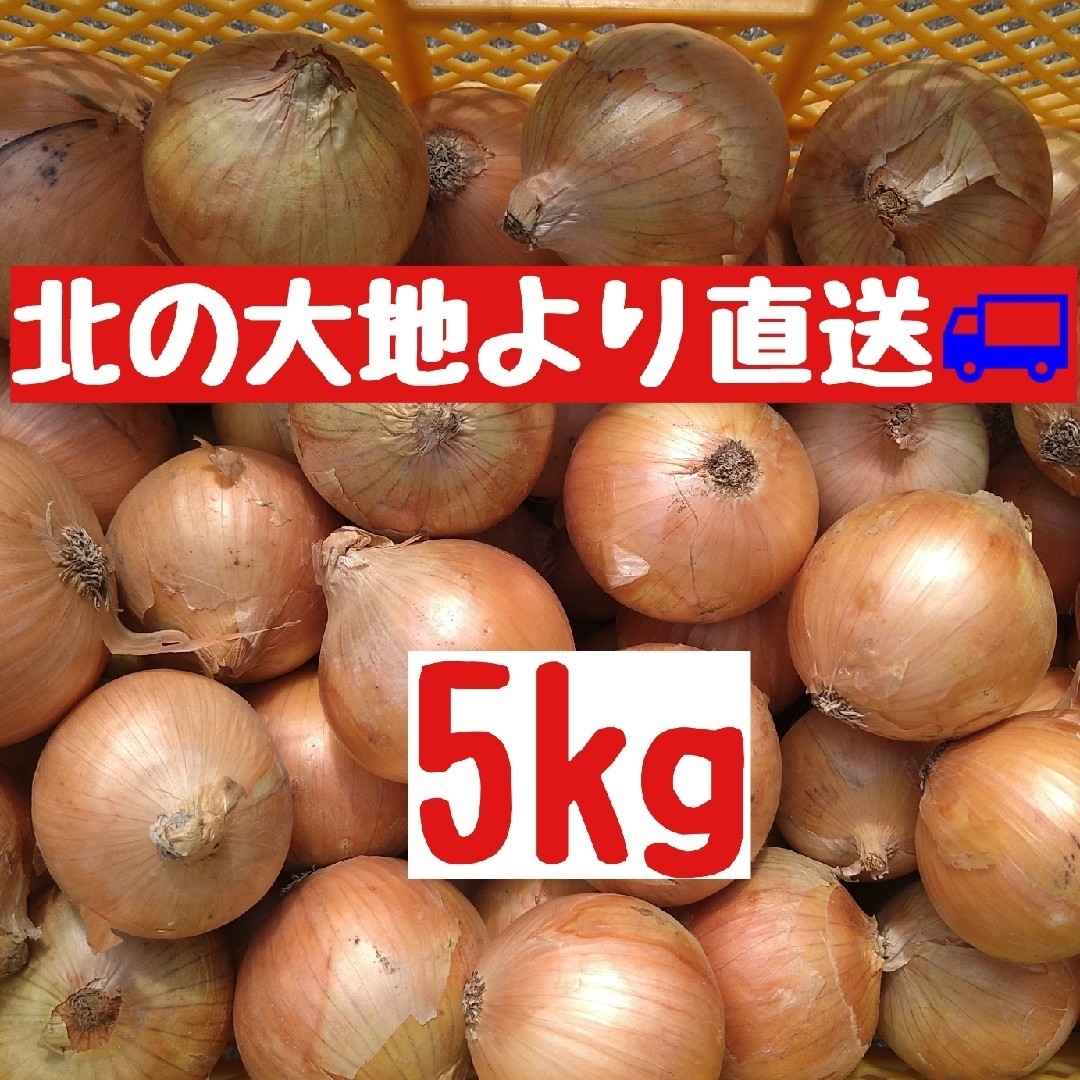 産地直送　北海道産玉ねぎ5kg(Ｌ大) 食品/飲料/酒の食品(野菜)の商品写真