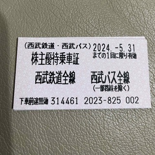 サイタマセイブライオンズ(埼玉西武ライオンズ)の西武HD 株主優待　乗車券　20枚(鉄道乗車券)