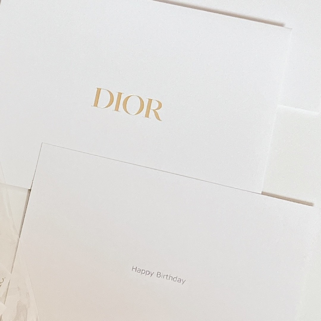 Dior(ディオール)のDIOR  巾着　ラッピング インテリア/住まい/日用品のオフィス用品(ラッピング/包装)の商品写真