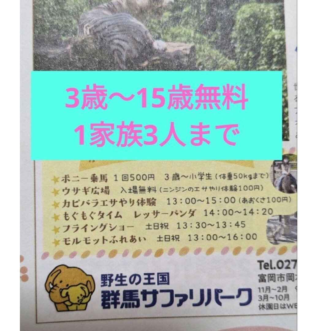 群馬サファリパーク　子ども入園料無料　ゴールデンウィーク　動物園　招待券 チケットのチケット その他(その他)の商品写真