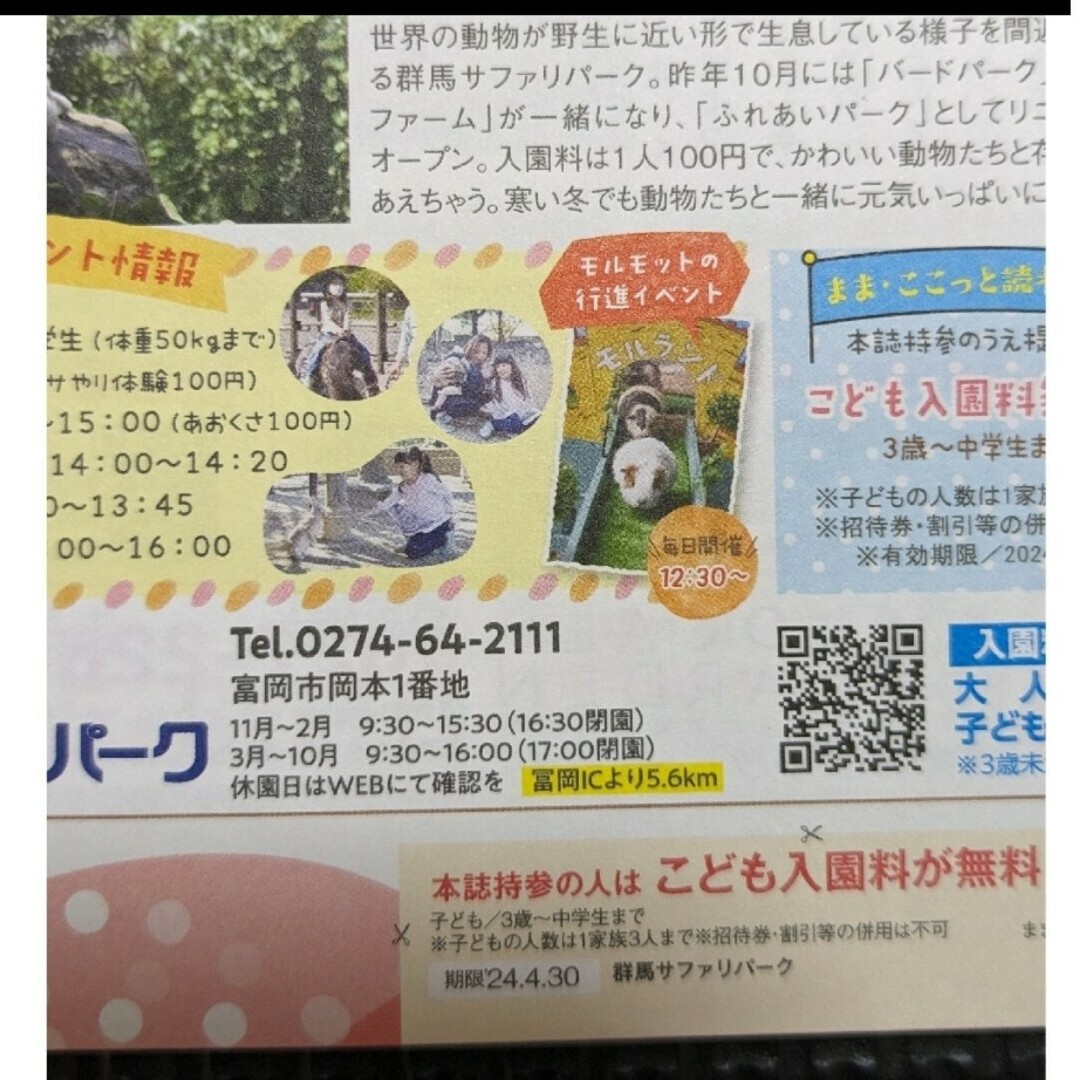 群馬サファリパーク　子ども入園料無料　ゴールデンウィーク　動物園　招待券 チケットのチケット その他(その他)の商品写真