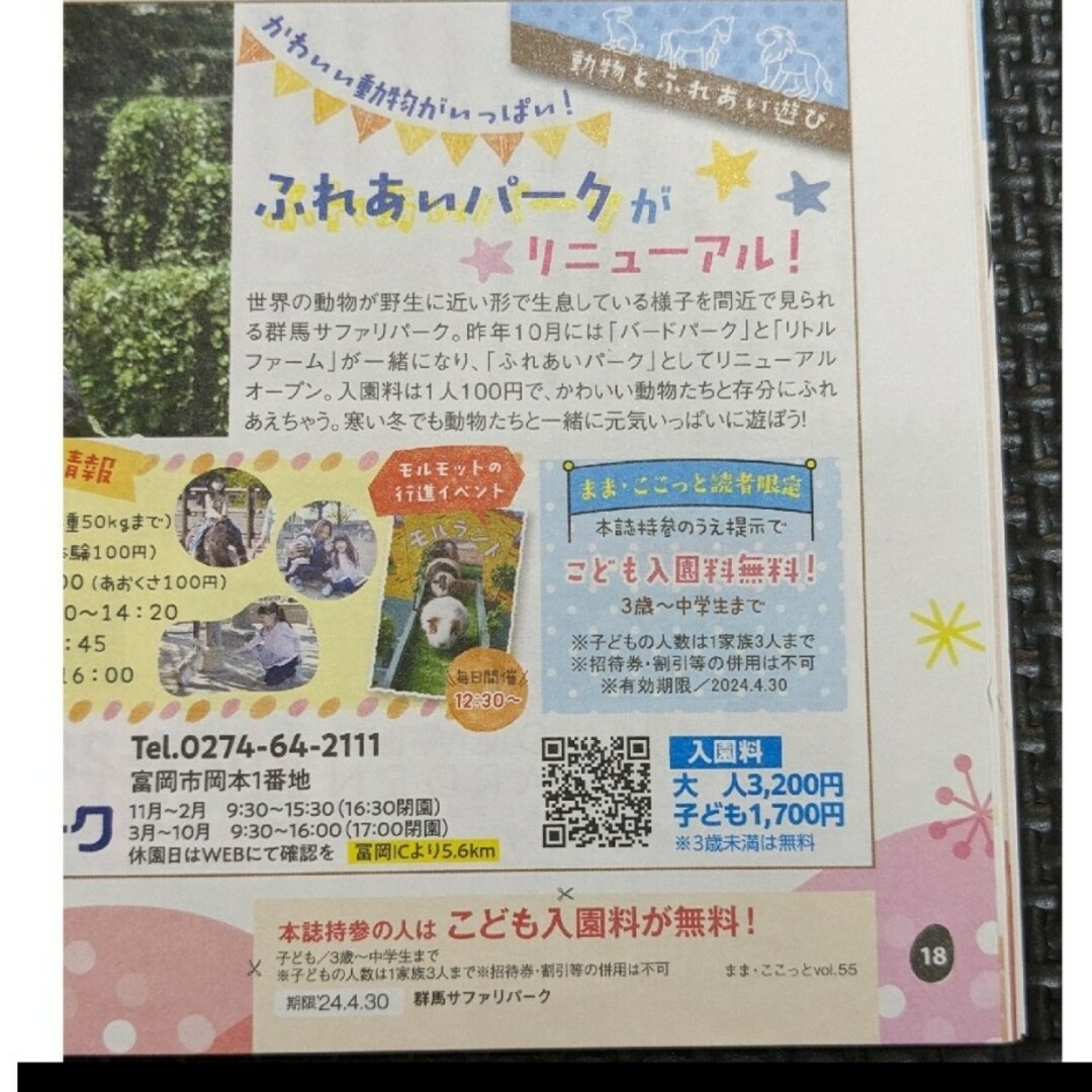 群馬サファリパーク　子ども入園料無料　ゴールデンウィーク　動物園　招待券 チケットのチケット その他(その他)の商品写真