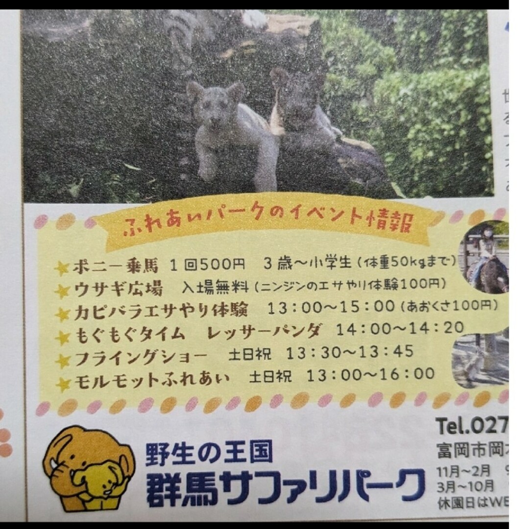 群馬サファリパーク　子ども入園料無料　ゴールデンウィーク　動物園　招待券 チケットのチケット その他(その他)の商品写真