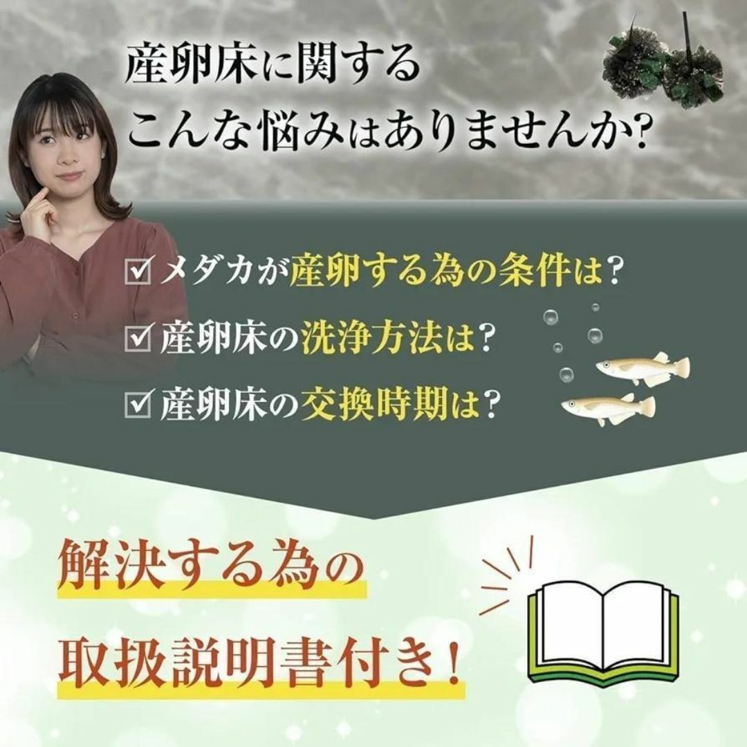 【貴凌めだか】 特別製 産卵床 10個入 メダカ 卵 黒玉ボール チュール生地 その他のペット用品(アクアリウム)の商品写真