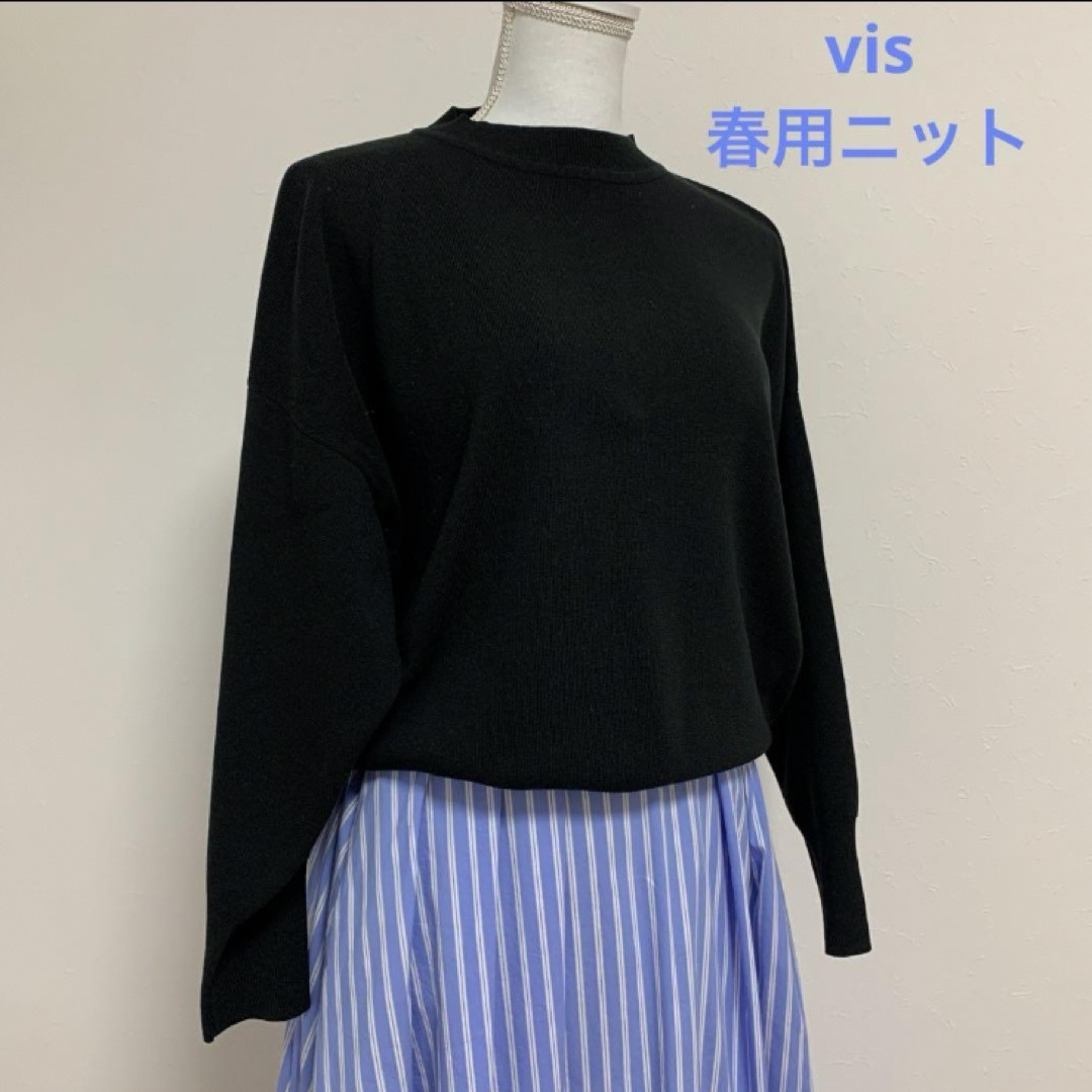 ViS(ヴィス)のvis 長袖ニット　春用 レディースのトップス(ニット/セーター)の商品写真