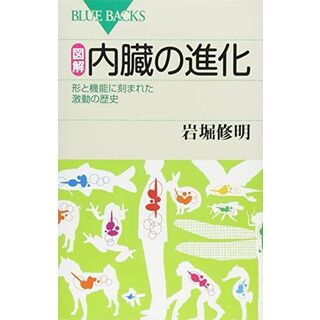 図解・内臓の進化 (ブルーバックス)(語学/参考書)