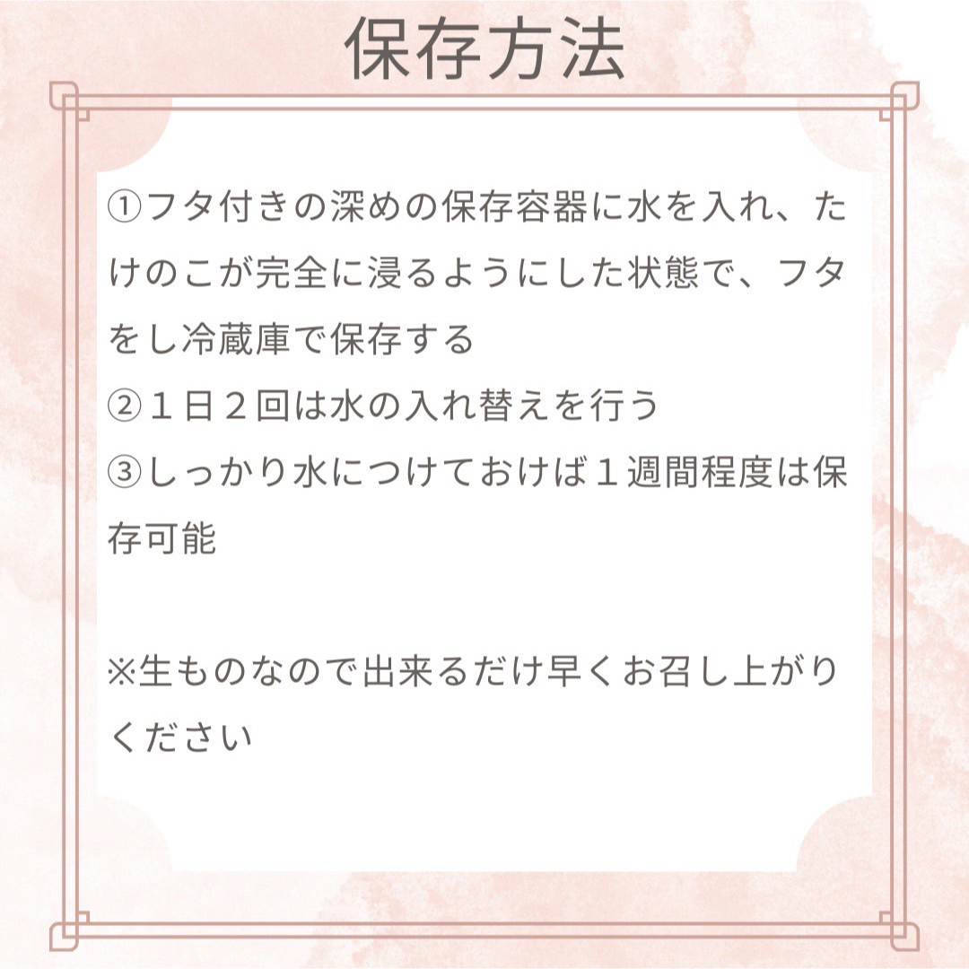 たけのこ10キロ　約5本　米ぬか付き　当日発送　採れたて 食品/飲料/酒の食品(野菜)の商品写真