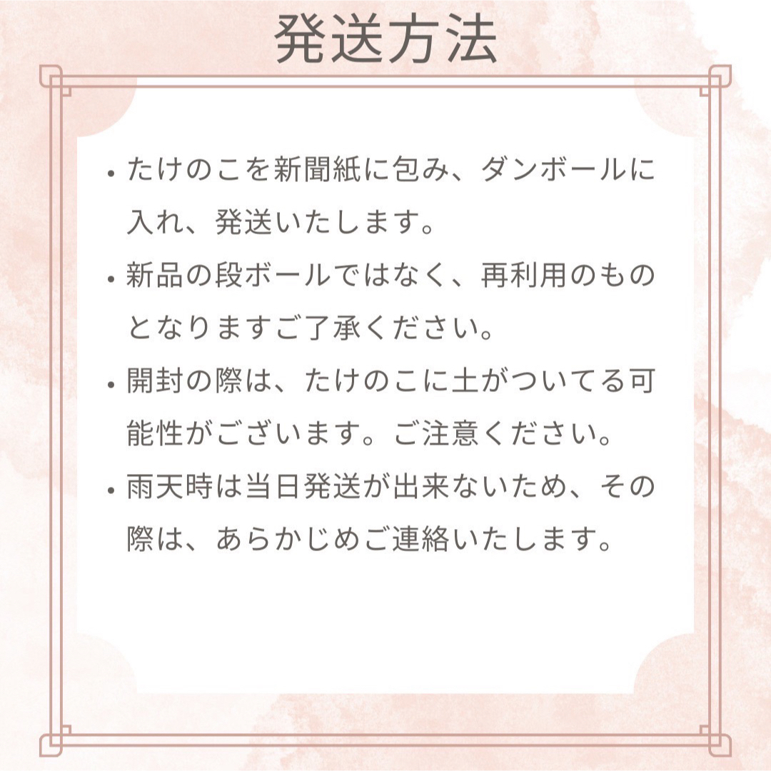 たけのこ10キロ　約5本　米ぬか付き　当日発送　採れたて 食品/飲料/酒の食品(野菜)の商品写真