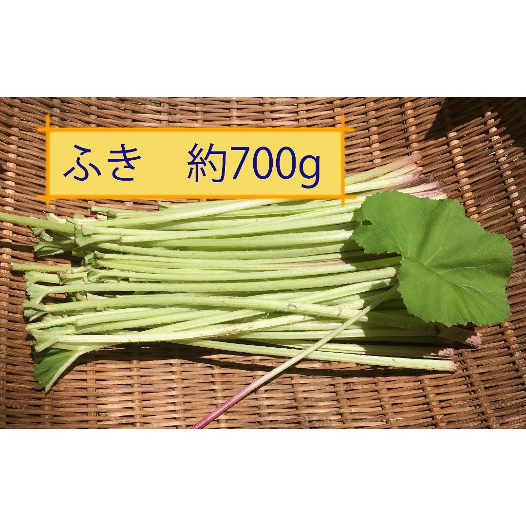 ふき　700g 食品/飲料/酒の食品(野菜)の商品写真