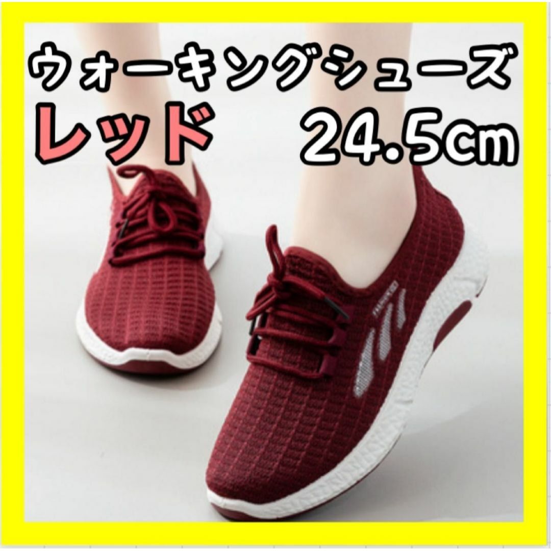 レディース スポーツ ウォーキングシューズ レッド ランニング 24.5cm レディースの靴/シューズ(スニーカー)の商品写真