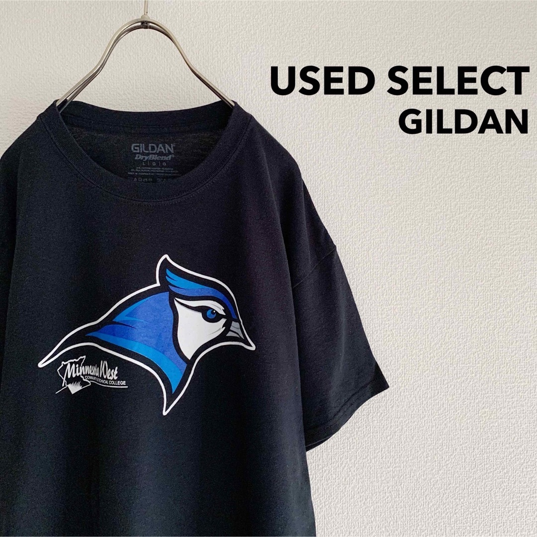 GILDAN(ギルタン)の古着 “GILDAN” ミネソタウェスト大学 Tシャツ / カレッジT メンズのトップス(Tシャツ/カットソー(半袖/袖なし))の商品写真