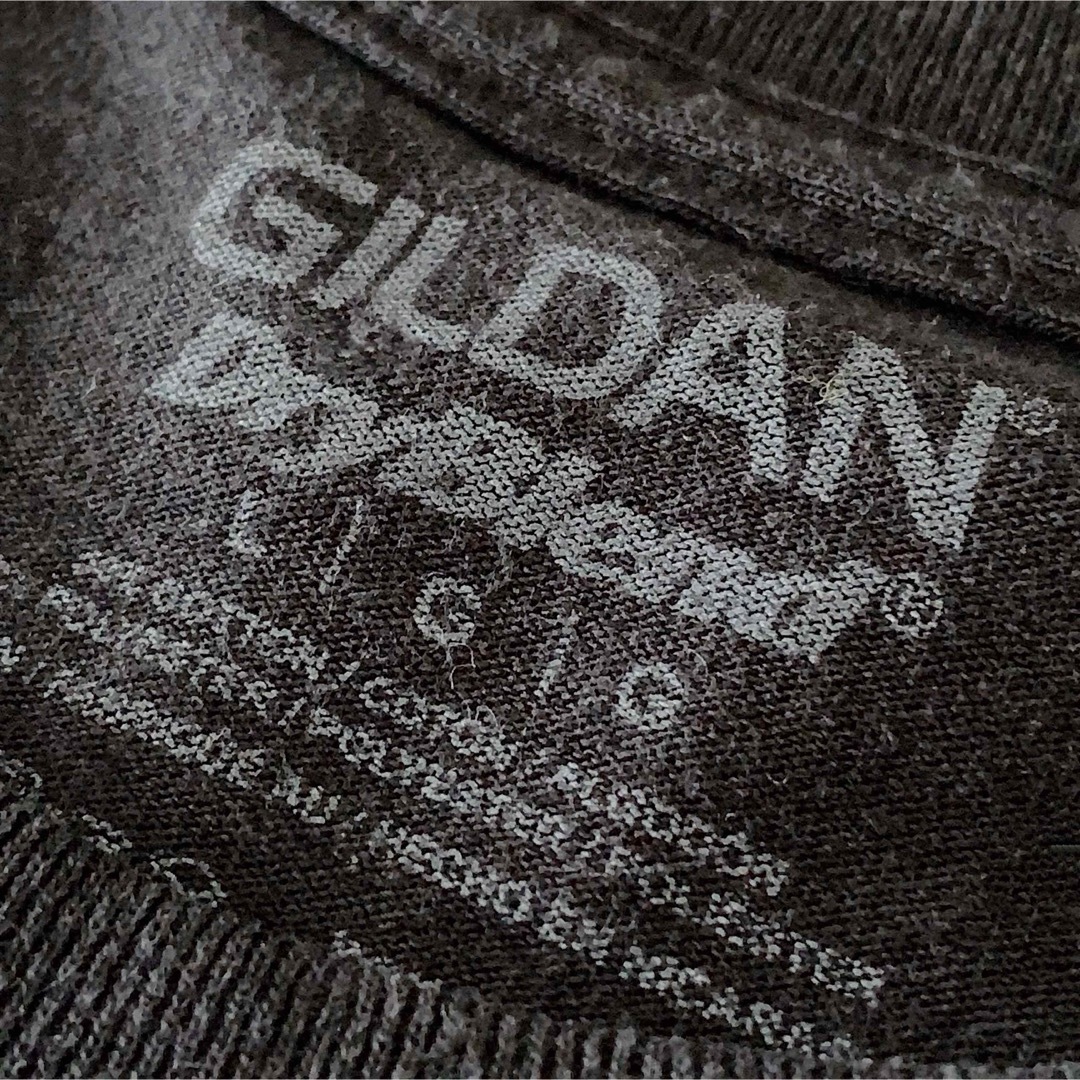 GILDAN(ギルタン)の古着 “GILDAN” ミネソタウェスト大学 Tシャツ / カレッジT メンズのトップス(Tシャツ/カットソー(半袖/袖なし))の商品写真