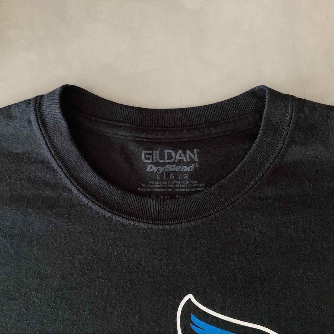 GILDAN(ギルタン)の古着 “GILDAN” ミネソタウェスト大学 Tシャツ / カレッジT メンズのトップス(Tシャツ/カットソー(半袖/袖なし))の商品写真
