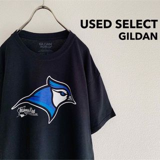 ギルタン(GILDAN)の古着 “GILDAN” ミネソタウェスト大学 Tシャツ / カレッジT(Tシャツ/カットソー(半袖/袖なし))