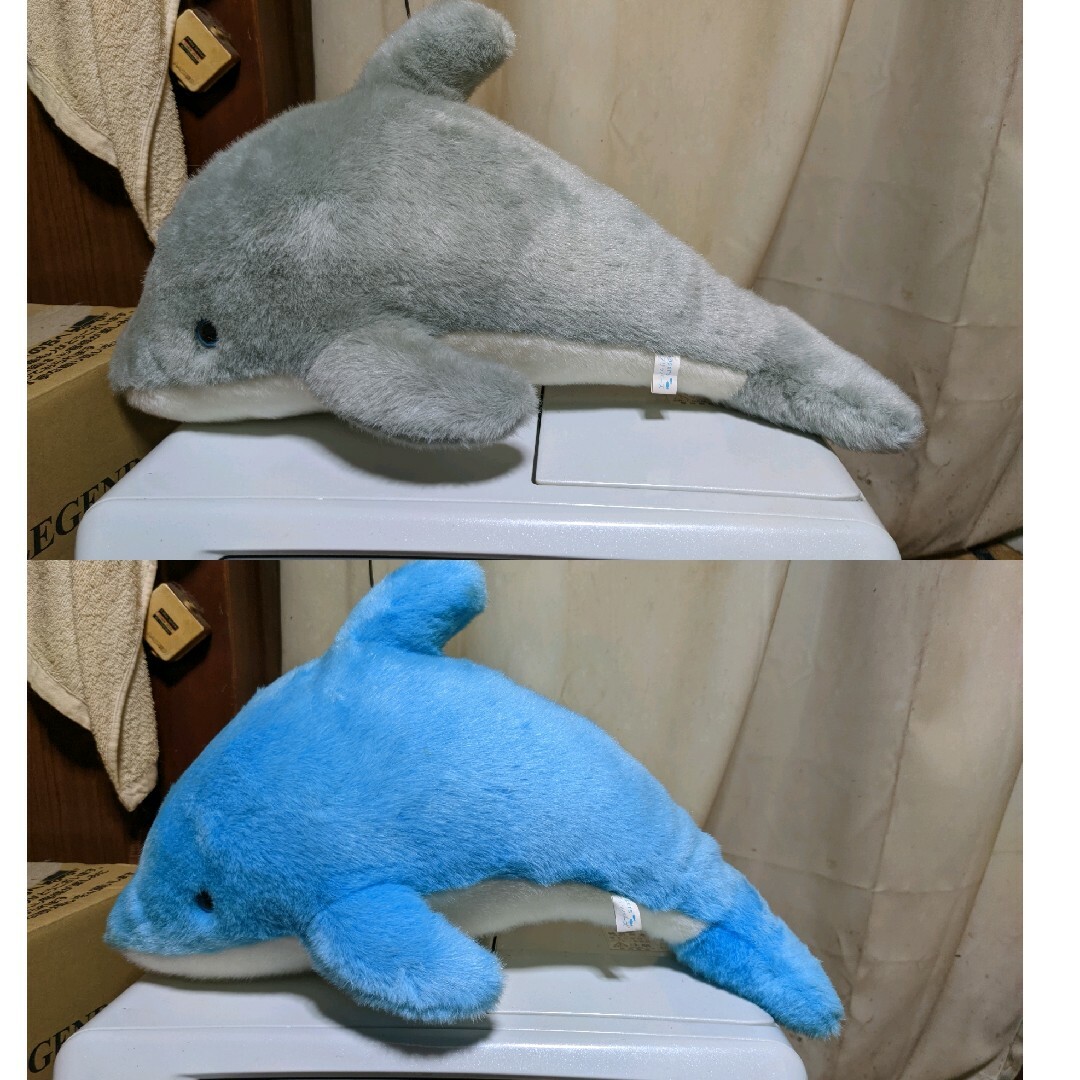 イルカ🐬 エンタメ/ホビーのおもちゃ/ぬいぐるみ(ぬいぐるみ)の商品写真