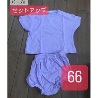 セットアップ　半袖　ブルマ　パープル　66(Ｔシャツ)