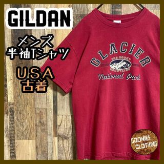 ギルダン メンズ 半袖 Tシャツ レッド プリントT M USA古着 90s(Tシャツ/カットソー(半袖/袖なし))