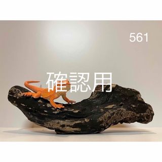 流木【561】(爬虫類/両生類用品)