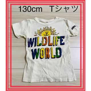 ジャンクストアー(JUNK STORE)の130cm  キッズTシャツ(Tシャツ/カットソー)