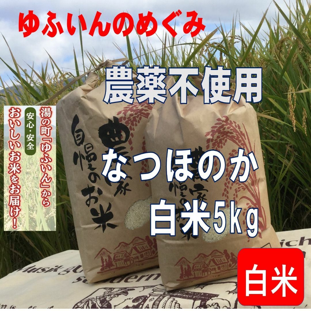 2023年産「ゆふいんのめぐみ」なつほのか白米5kg 食品/飲料/酒の食品(米/穀物)の商品写真