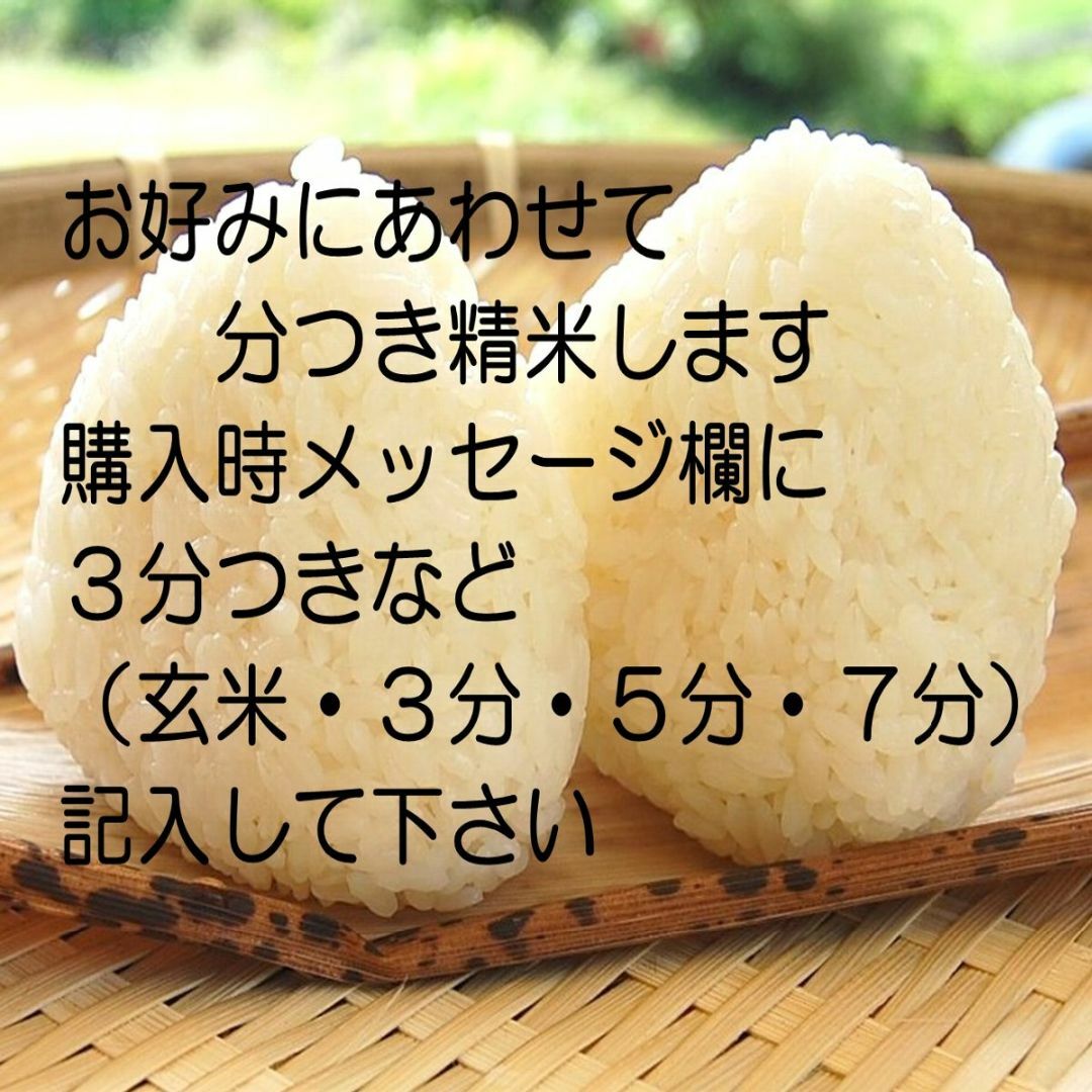 2023年産「ゆふいんのめぐみ」ヒノヒカリ分つき米10kg 食品/飲料/酒の食品(米/穀物)の商品写真