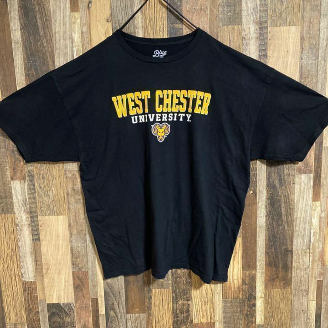 メンズ 半袖Tシャツ ビッグシルエット 黒 カレッジロゴ USA古着 90s メンズのトップス(Tシャツ/カットソー(半袖/袖なし))の商品写真