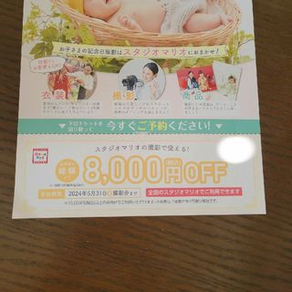 キタムラ(Kitamura)のスタジオマリオ　8000円OFF券(その他)