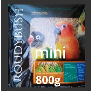 ラウディブッシュデイリーメンテナンスミニ　800g(鳥)