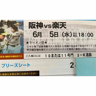 ハンシンタイガース(阪神タイガース)の6/5(水)　阪神楽天　通路横ブリーズシートペア (野球)