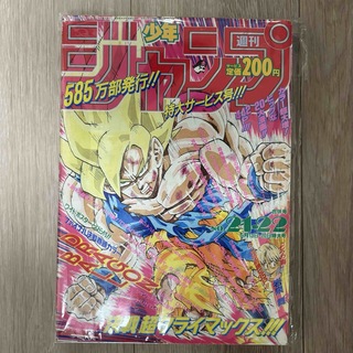 週刊少年ジャンプ 1991年21・22号(漫画雑誌)