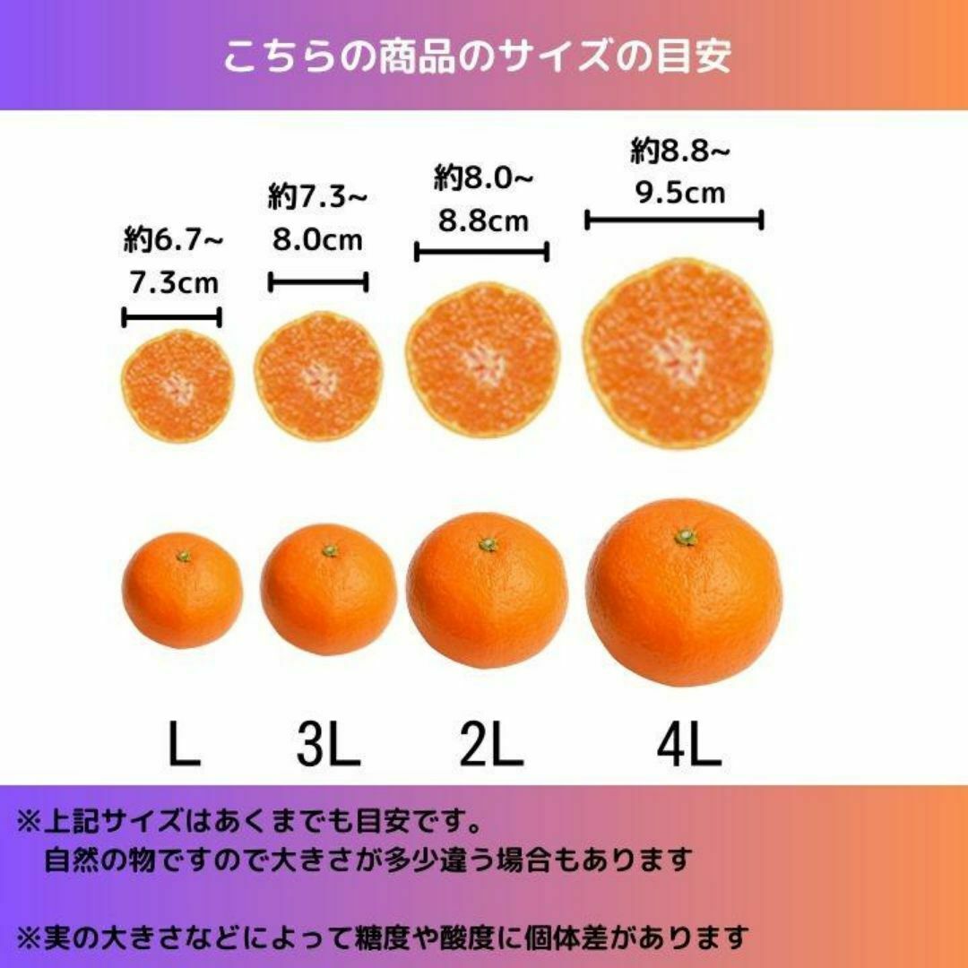 10kg【産地直送】高いコスパ！数量限定！甘い 清見 きよみ 有田みかん 食品/飲料/酒の食品(フルーツ)の商品写真