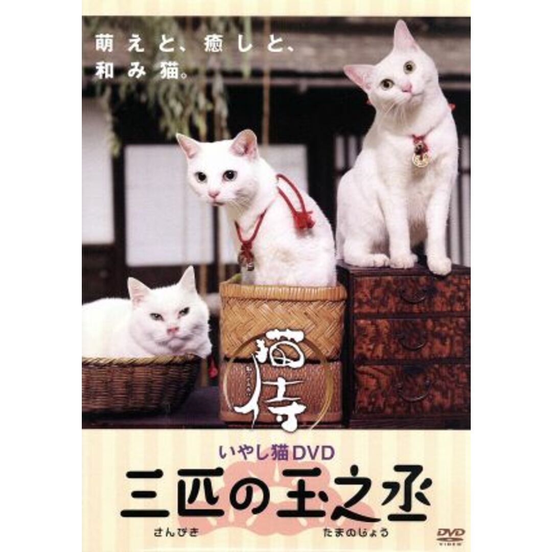 いやし猫ＤＶＤ　猫侍　三匹の玉之丞 エンタメ/ホビーのDVD/ブルーレイ(趣味/実用)の商品写真