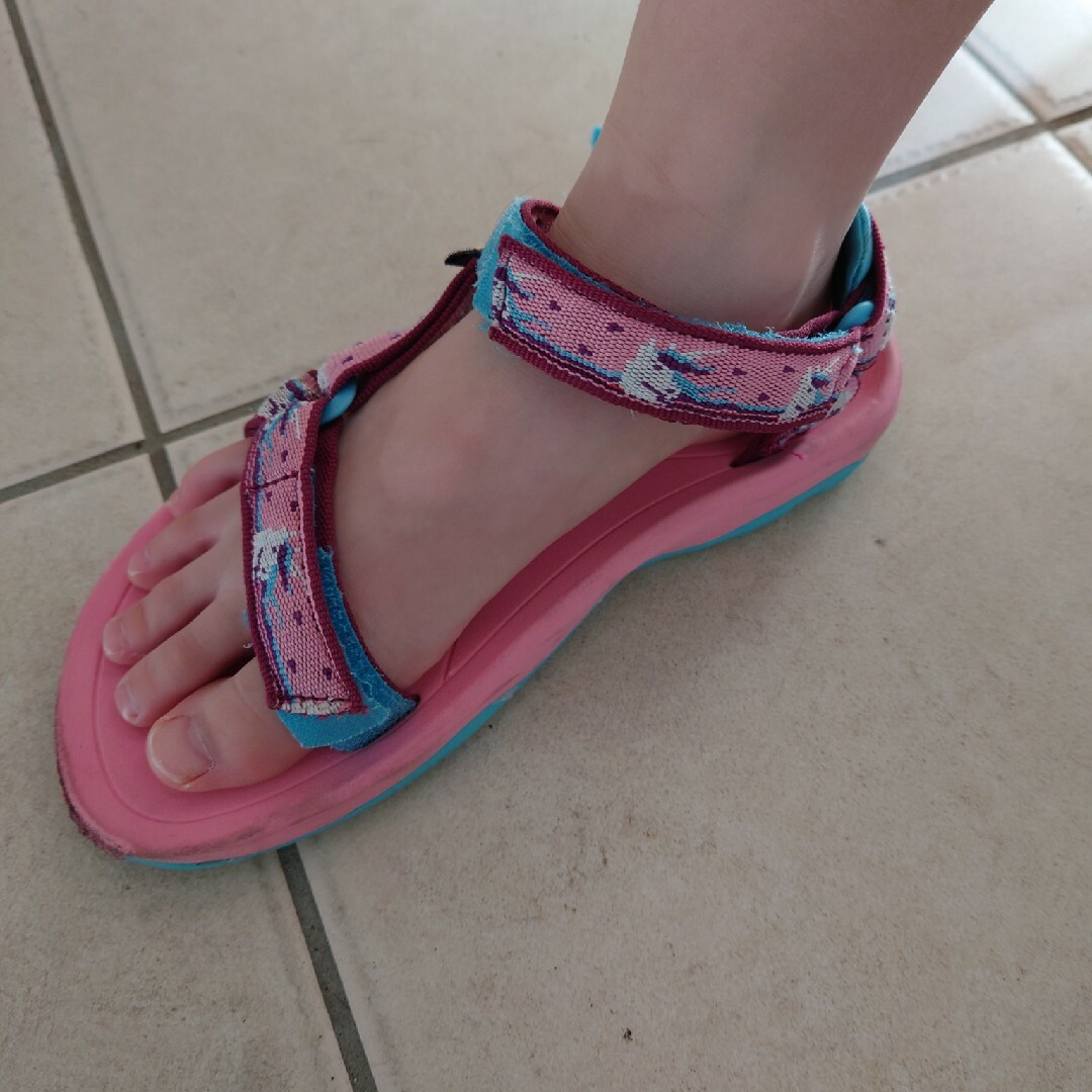 Teva(テバ)のTeva　サンダル　21 キッズ/ベビー/マタニティのキッズ靴/シューズ(15cm~)(サンダル)の商品写真