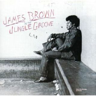 【輸入盤】Ｉｎ　ｔｈｅ　Ｊｕｎｇｌｅ　Ｇｒｏｏｖｅ(R&B/ソウル)