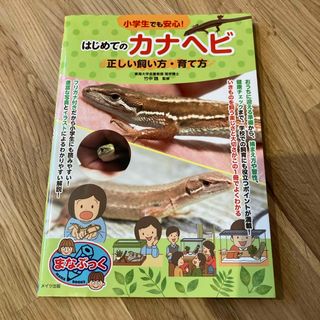 小学生でも安心！はじめてのカナヘビ正しい飼い方・育て方(絵本/児童書)