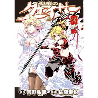 聖痕のクェイサー(23): チャンピオンREDコミックス／吉野 弘幸(その他)