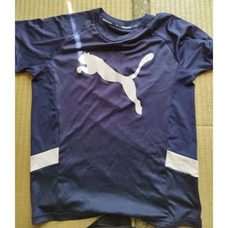 プーマ(PUMA)のプーマ　Tシャツ(Tシャツ/カットソー)