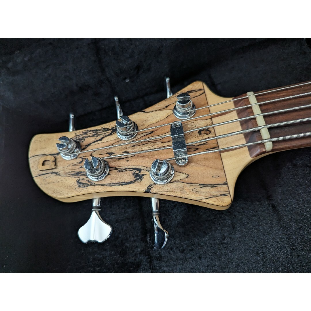 dragonfly cs-5/345 SpaltedMaple/mahogany 楽器のベース(エレキベース)の商品写真