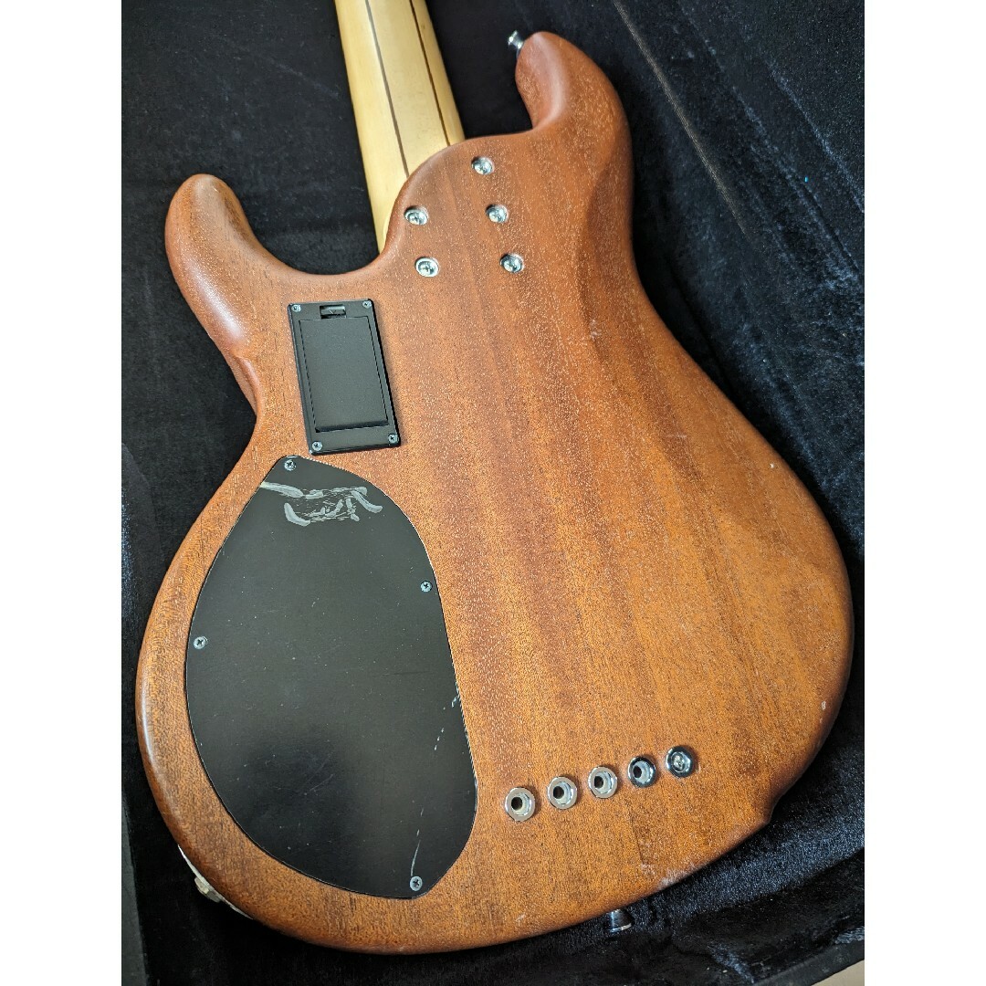 dragonfly cs-5/345 SpaltedMaple/mahogany 楽器のベース(エレキベース)の商品写真