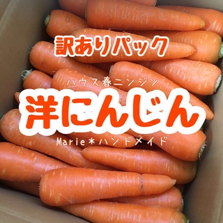 【訳あり】洋にんじん　6kg　ハウスニンジン　人参　野菜　産地直送　期間限定(野菜)