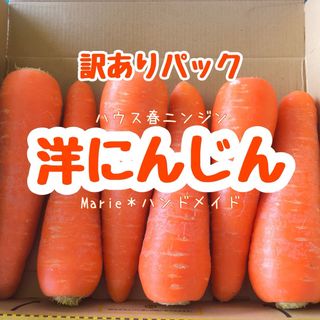 【訳あり】洋にんじん　お試しパック　ハウス　人参　野菜　産地直送　期間限定(野菜)