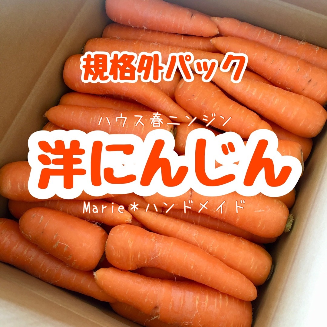 【規格外】洋にんじん　3kg　ハウスニンジン　人参　野菜　産地直送　期間限定 食品/飲料/酒の食品(野菜)の商品写真