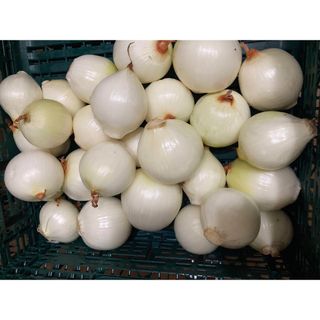 494.お買い得訳あり皮むき玉ねぎ箱込み20kg(野菜)