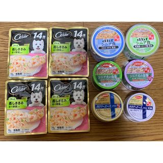 CASAR - シニア犬用フード10食　犬用　パウチ　ウェットフード　缶詰　シーザー　デビフ