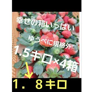 ❤️こじゃじ様専用❤️ゆうべにイチゴ規格外❤1.8k×4箱クール便送料込9000(フルーツ)