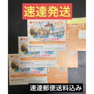 速達★3枚東京都競馬サマーランド春秋季限定株主優待券(遊園地/テーマパーク)